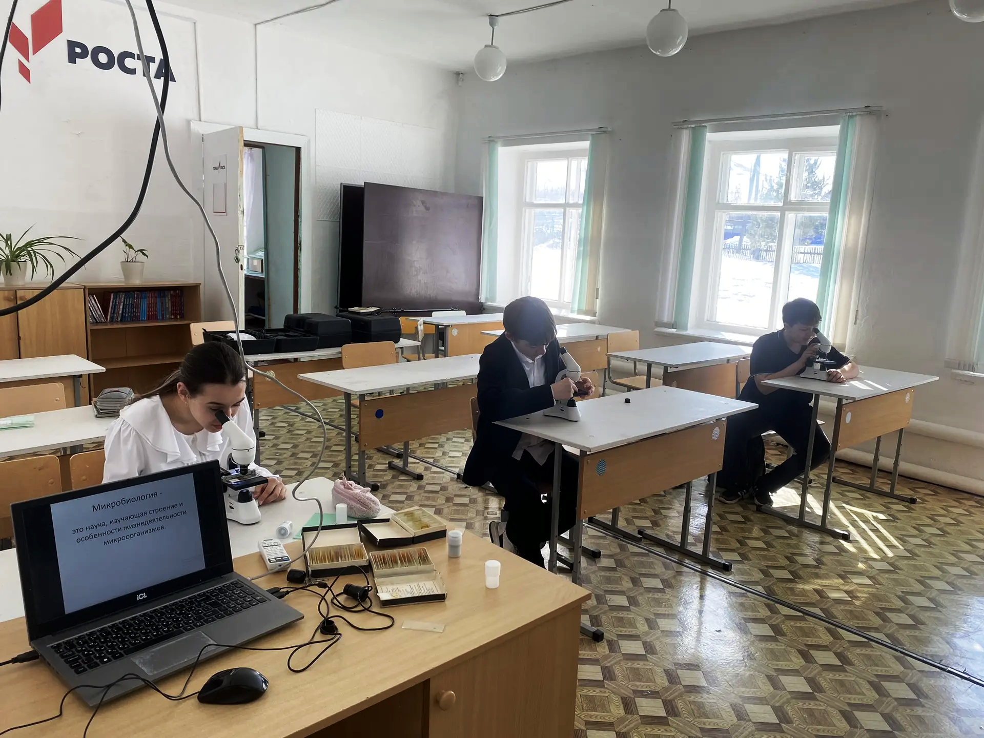 Бактерии – доядерные организмы.